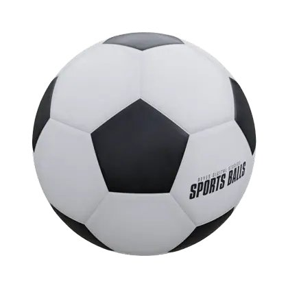 Sports Balls Soccer